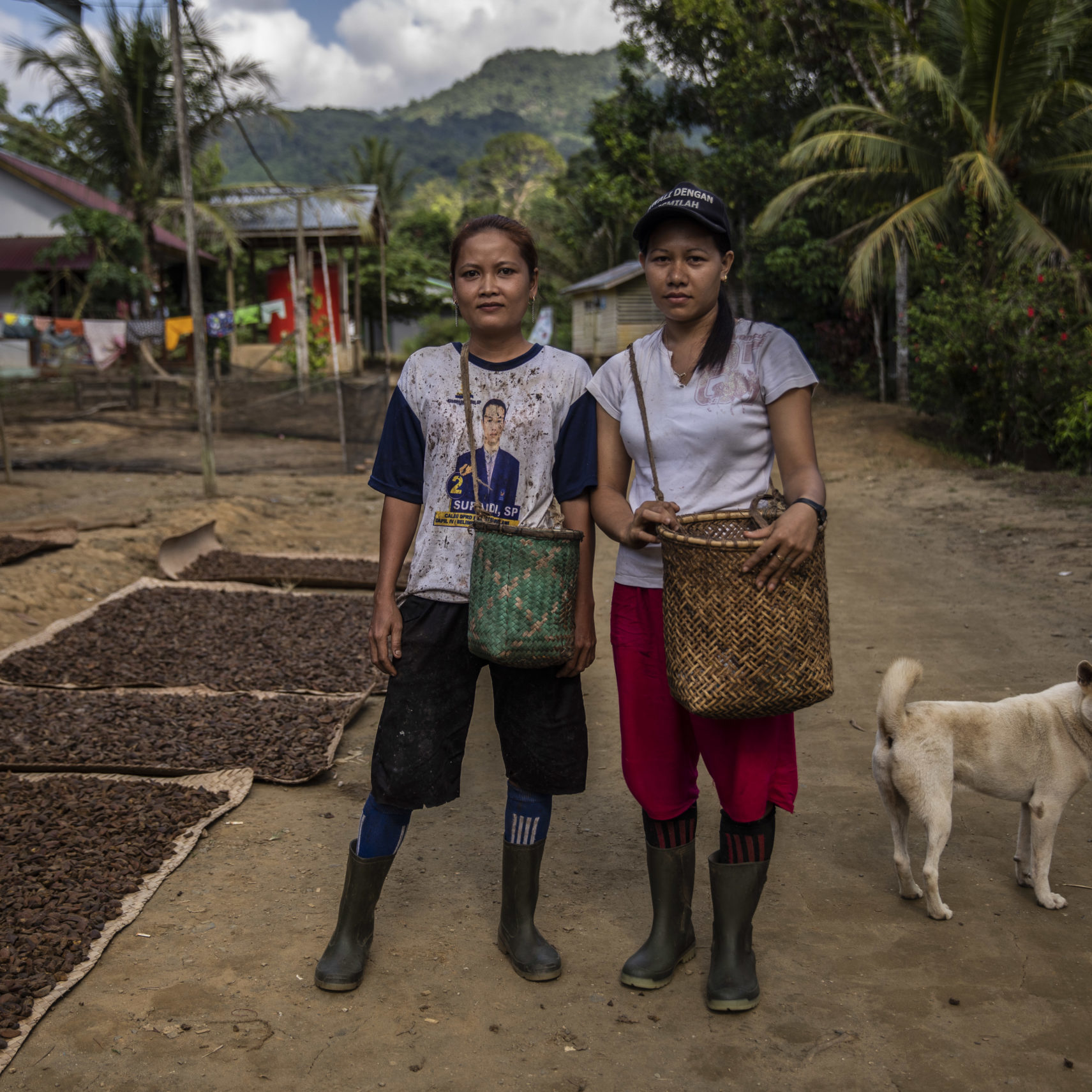 Portrait of ilipe nut farmers next to sun-dried ilipe nuts at a village in Sintang regency, West Kalimantan, Indonesia.